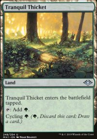 Tranquil Thicket - 