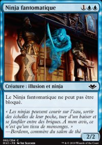 Ninja fantomatique - 