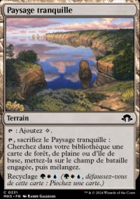 Paysage tranquille - 