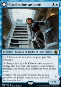 Clandestine suspecte<br>Loup-garou de mer