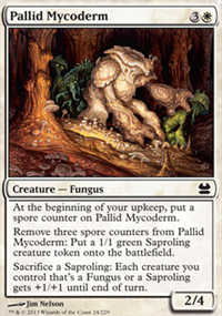 Pallid Mycoderm - 