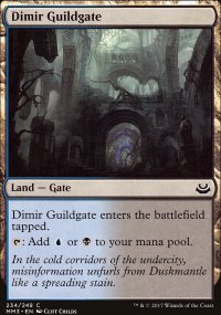 Dimir Guildgate - 