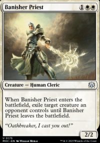 Banisher Priest - 