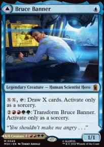 <br>The Incredible Hulk