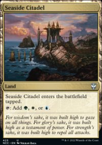 Seaside Citadel - 