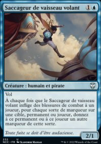 Saccageur de vaisseau volant - 