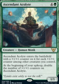 Ascendant Acolyte - 