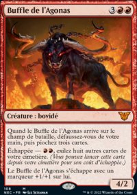 Buffle de l'Agonas - 