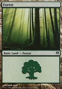 Forest - 