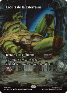 �gouts de la Citerraine - Teenage Mutant Ninja Turtles Source Material