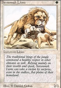 Lions des savanes - Revised Edition