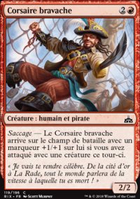 Corsaire bravache - 