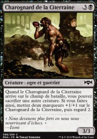 Charognard de la Citerraine - 