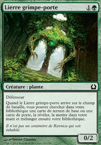 Lierre grimpe-porte - 