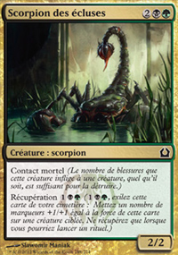 Scorpion des cluses - 