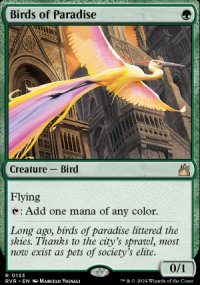 Birds of Paradise - 