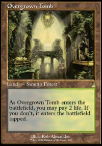 Overgrown Tomb - 