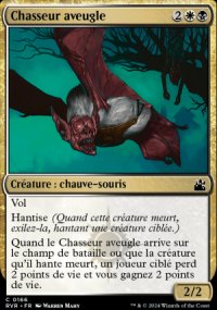 Chasseur aveugle - 