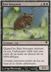 Rats bruyants - 