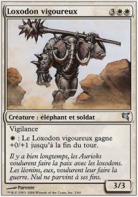 Loxodon vigoureux - 