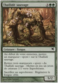 Thallid sauvage - 