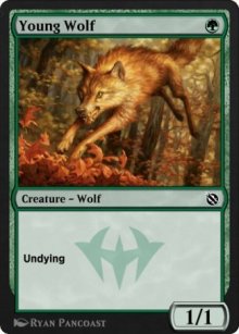 Young Wolf - 