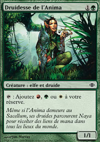 Druidesse de l'Anima - 