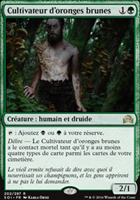 Cultivateur d'oronges brunes - 