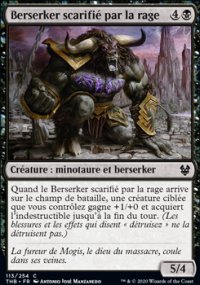 Berserker scarifi par la rage - 