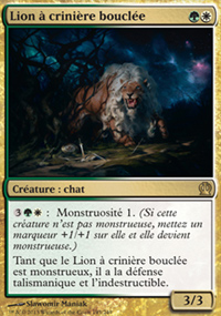 Lion  crinire boucle - 