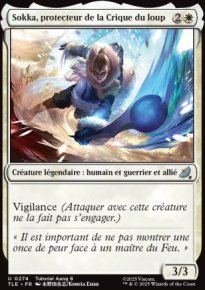 Sokka, protecteur de la Crique du loup - Avatar: The Last Airbender Eternal-Legal