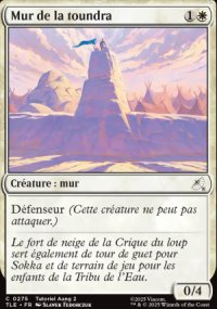 Mur de la toundra - Avatar: The Last Airbender Eternal-Legal