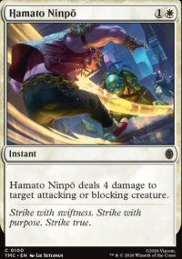 Hamato Ninpo - Teenage Mutant Ninja Turtles Eternal Legal