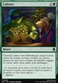 Culture - Teenage Mutant Ninja Turtles Eternal Legal