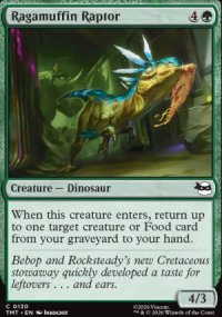 Ragamuffin Raptor - Teenage Mutant Ninja Turtles