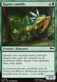 Raptor canaille - Teenage Mutant Ninja Turtles