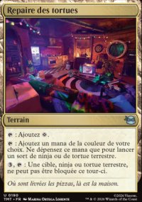 Repaire des tortues - Teenage Mutant Ninja Turtles