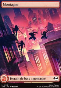 Montagne - Teenage Mutant Ninja Turtles