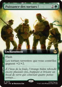Puissance des tortues�! - Teenage Mutant Ninja Turtles