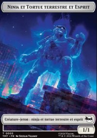 Ninja et Tortue terrestre et Esprit - Teenage Mutant Ninja Turtles