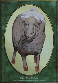 Mouton - 