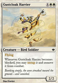 Gustcloak Harrier - 