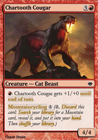 Chartooth Cougar - 