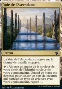 Voie de l'Ascendance - 