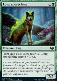 Loup sporchine - 