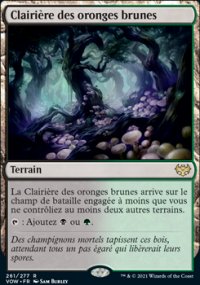 Clairire des oronges brunes - 