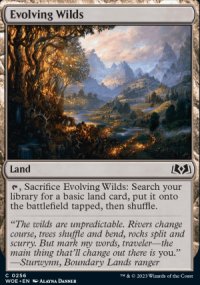 Evolving Wilds - 