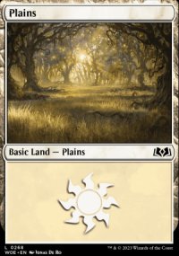 Plains - 