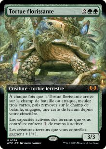 Tortue florissante - 