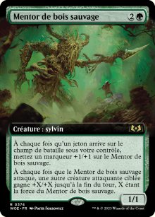 Mentor de bois sauvage - 